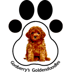 Gooberry's Goldendoodles logo
